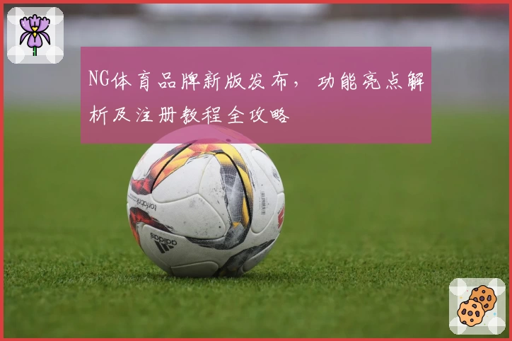 NG体育品牌新版发布，功能亮点解析及注册教程全攻略