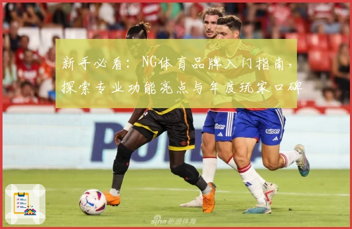 新手必看：NG体育品牌入门指南，探索专业功能亮点与年度玩家口碑