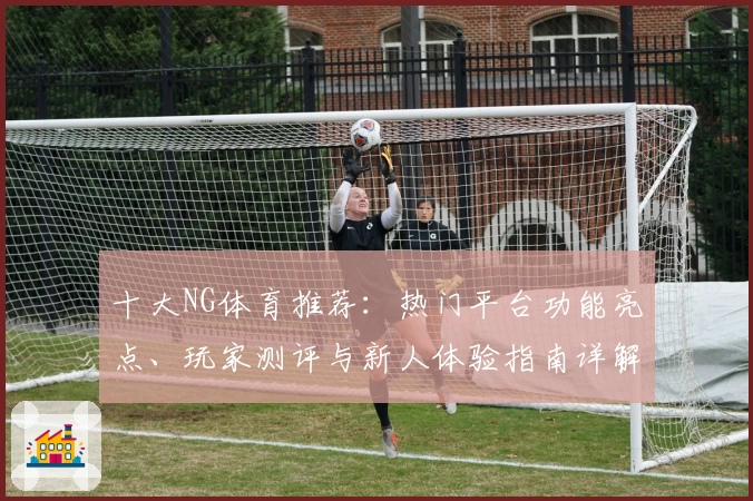 十大NG体育推荐：热门平台功能亮点、玩家测评与新人体验指南详解