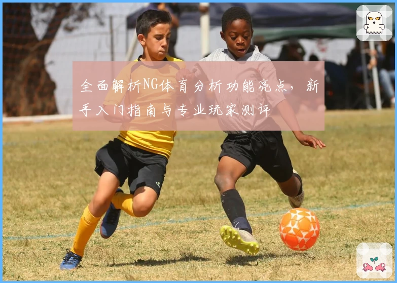 全面解析NG体育分析功能亮点，新手入门指南与专业玩家测评