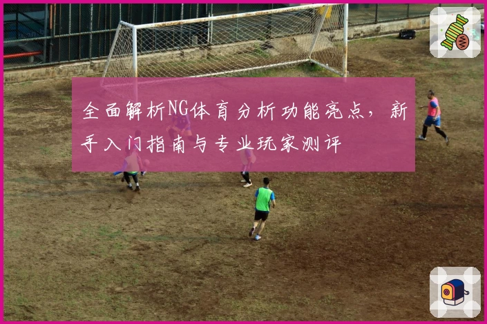 全面解析NG体育分析功能亮点，新手入门指南与专业玩家测评