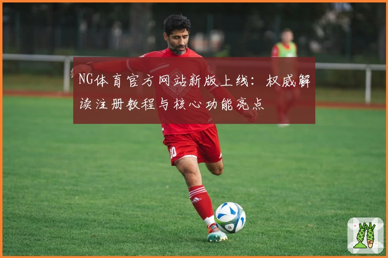 NG体育官方网站新版上线：权威解读注册教程与核心功能亮点