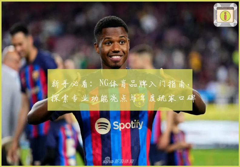 新手必看：NG体育品牌入门指南，探索专业功能亮点与年度玩家口碑