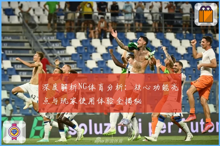 深度解析NG体育分析:核心功能亮点与玩家使用体验全揭秘